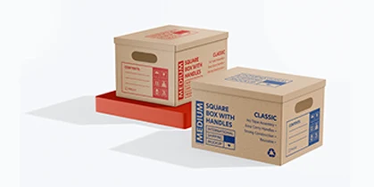 Storage Cartons