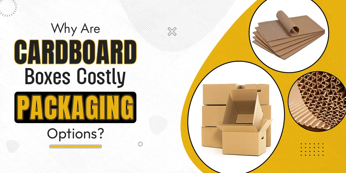 Why Are Cardboard Boxes Costly Packaging Options